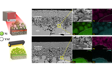 Enhancing the electrochemical performance of Ni-based electrodes via flash light sintering for metal-supported solid oxide fuel cells (MS-SOFCs)  2025.100758